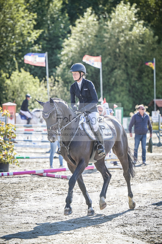 DOS_9557 | Entdecke hochwertige Reitturnierfotos von Foto Oger. Professionell, emotional und authentisch – jetzt Lieblingsmomente im Shop bestellen.Deutschlandweite Turnierfotografie. - Realisiert mit Pictrs.com