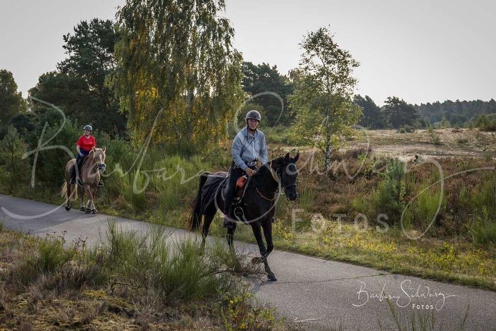 DdLH-TrotBy_2025-09-20_40 | Fotografie, Veranstaltungs-Fotografie, Pferde-Fotografie, Landschafts-Fotografie, Reise-Fotografie - Realisiert mit Pictrs.com