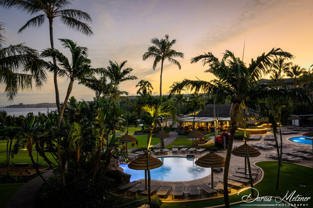 DSC_7054 | Fotografien, Fotos und Bilder aus Mainz, Frankfurt, Wiesbaden und anderen Orten auf der Welt - Fotografiert von Darius Metzner