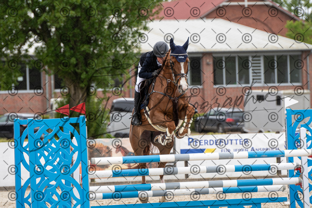 KPT_0130 | andre_photographic