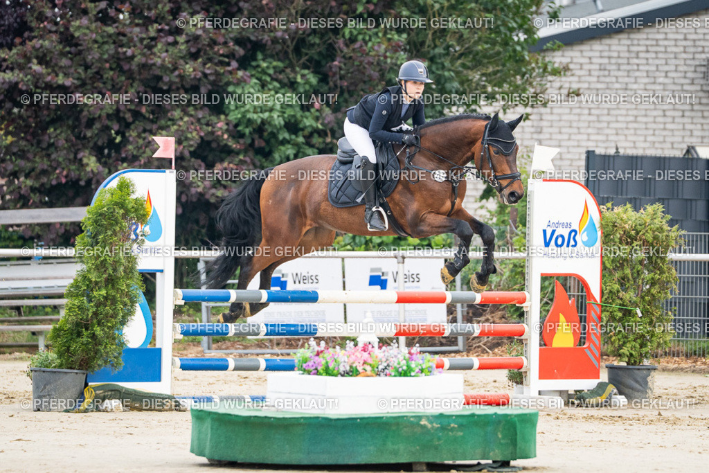 DSC08434 | Pferdegrafie