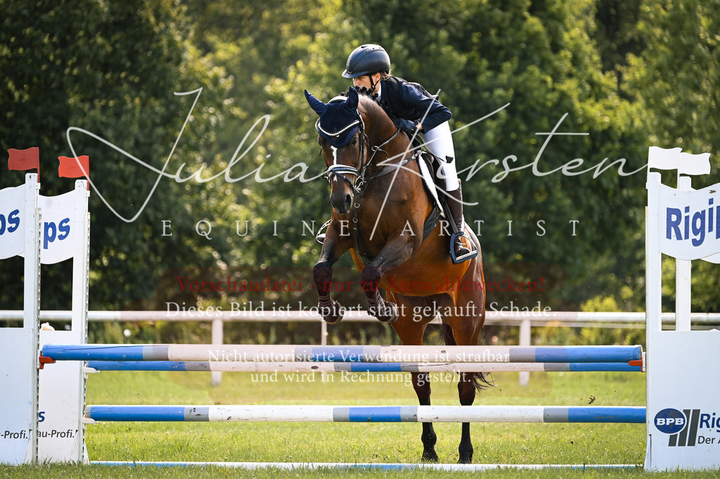 DSC_8856 | Pferde- und Turnierfotografie in Westsachsen. Pferdeportraits, Auftragszeichnungen und intuitive Kunst.