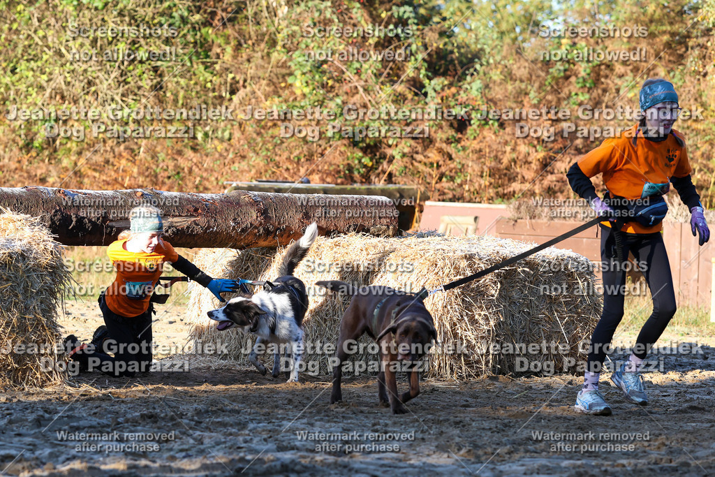 Dog Paparazzi - Strongdog 10-25-763 | Dog Paparazzi Jeanette Grottendiek Fotografie & Videografie - Realisiert mit Pictrs.com