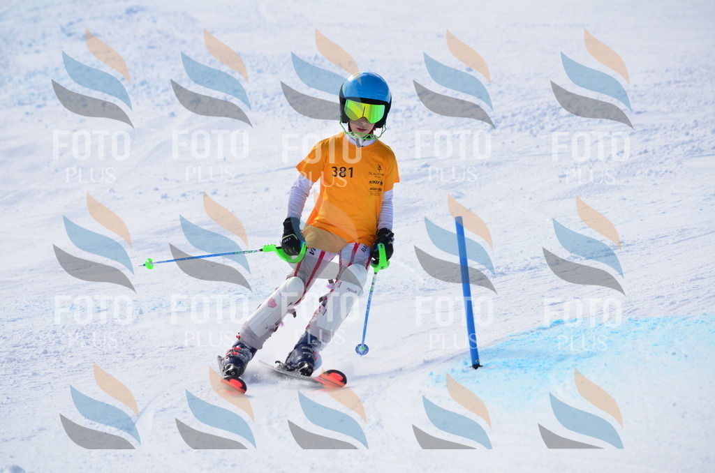 C8770 | holidayphoto