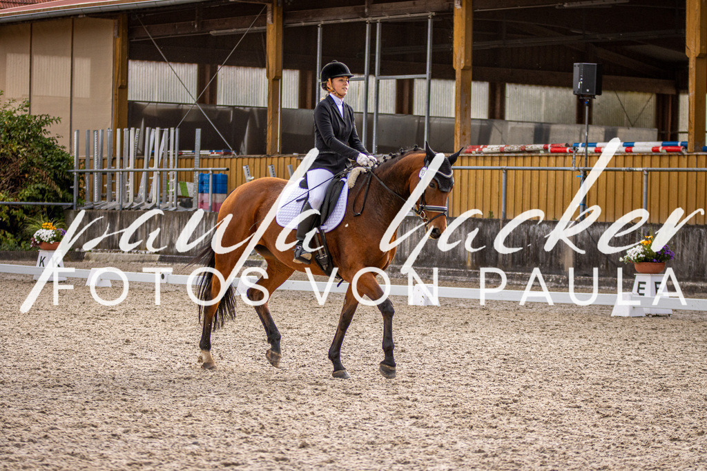 IMG_3374 | Erleben Sie dynamische Sport- und emotionale Tierfotografie in Süddeutschland mit Fotos von Paula. Spezialisiert auf Pferde- und Hundefotografie sowie Sportevents. Kontaktieren Sie mich für einzigartige und ausdrucksstarke Bilder Ihrer besonderen Momente.