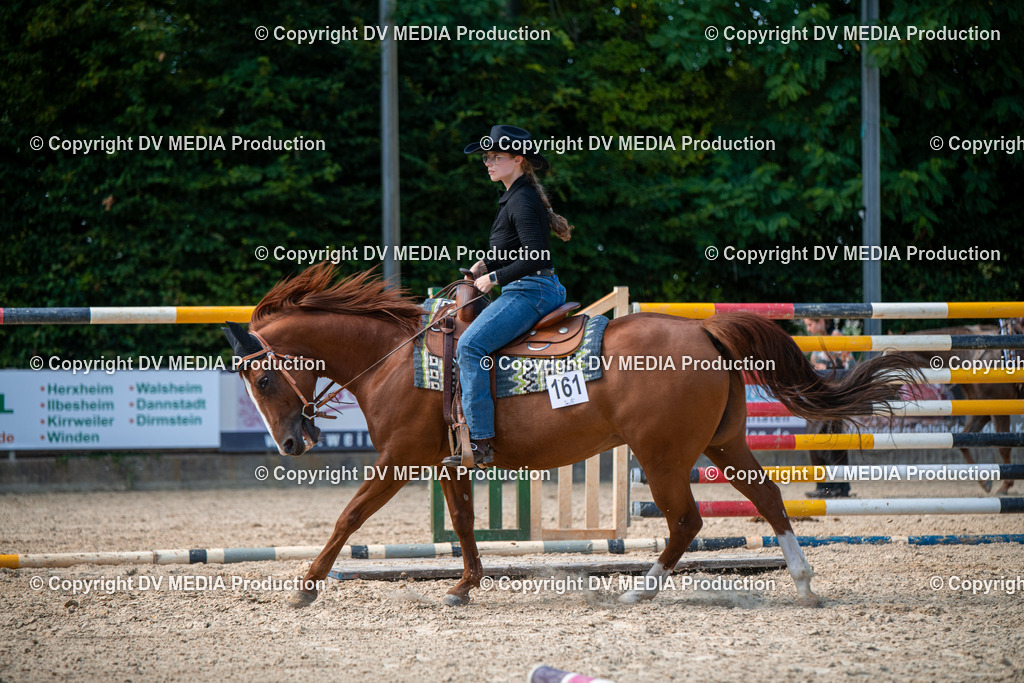 EWP_6865 | dv-media-shop - Realisiert mit Pictrs.com