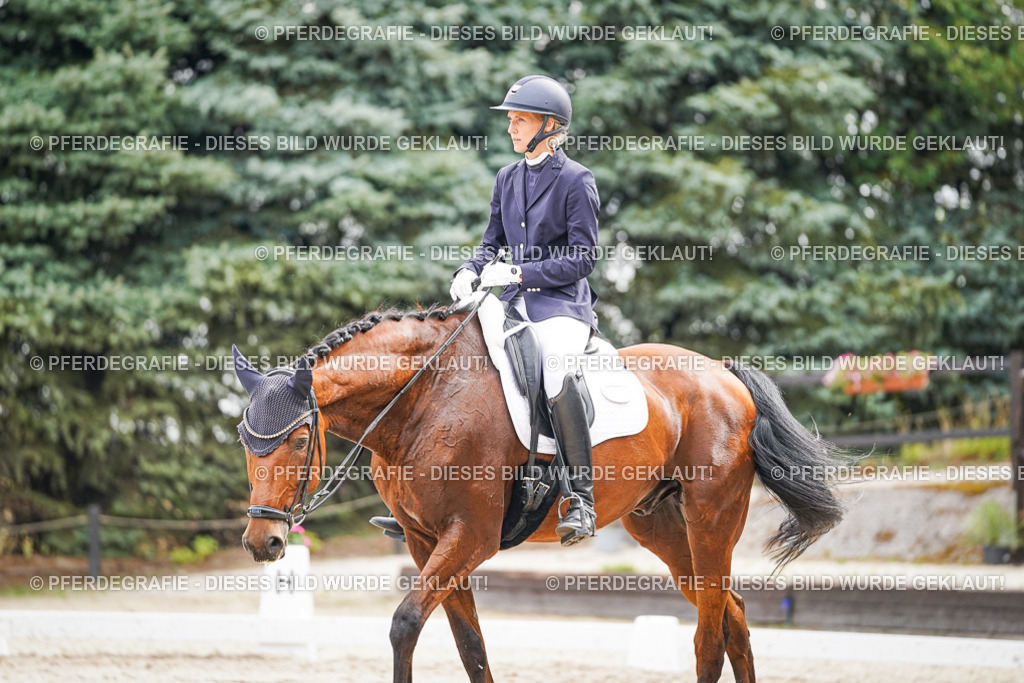 DSC01974 | Pferdegrafie