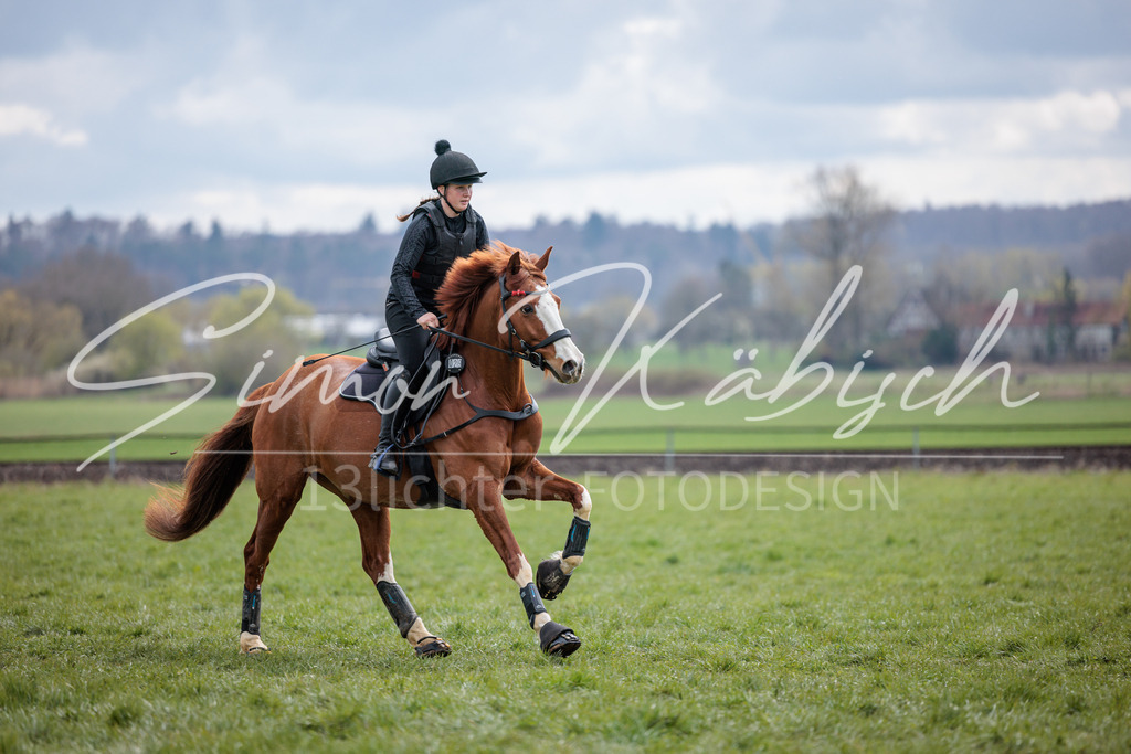 20260329-_3LI5189 | Tierfotografie Pferde, Hunde, Katzen, Haustiere.
Turnierfotografie Reitturniere, Reiten, Springreiten, Dressur in Hanau, dem Main-Kinzig-Kreis und dem Rhein-Main- Gebiet um Frankfurt