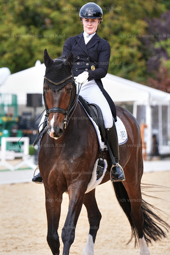 11-091-Dressur S___-Marixx-1623 | working equitationturnier fotograf videograf stoibphotography marixx film working equitation deutschland reitsport turnierfotografie eventfotografie equestrian events