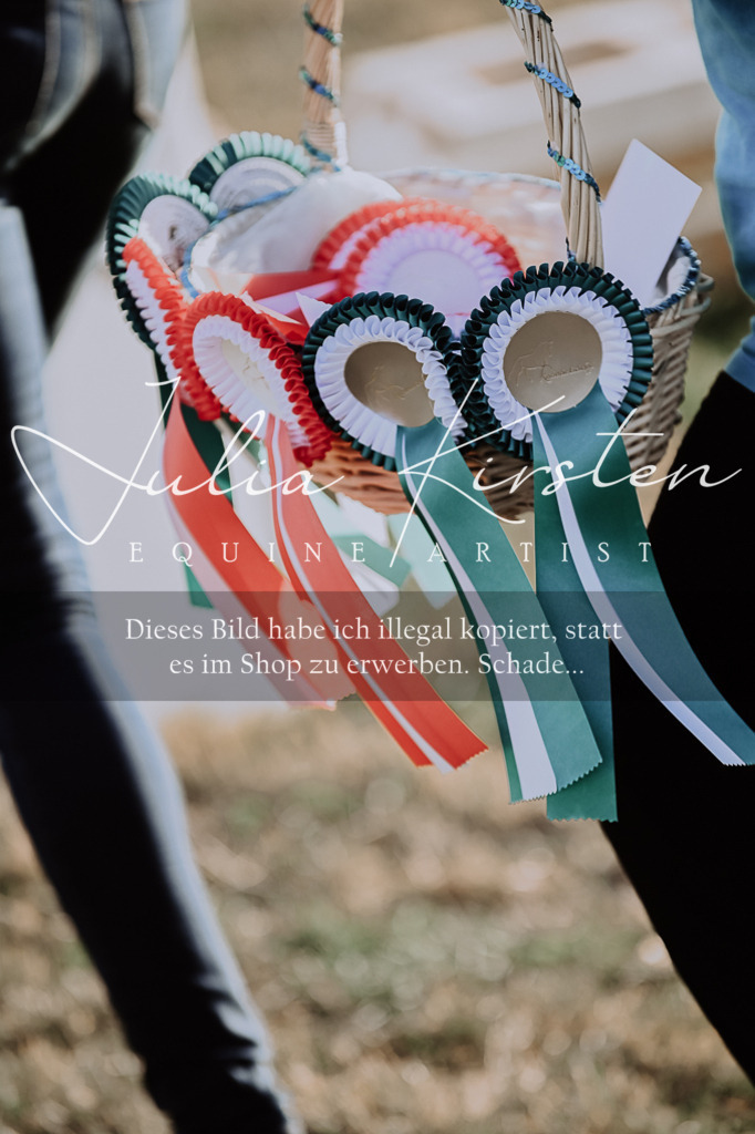 DSC_0229 | Pferde- und Turnierfotografie in Westsachsen. Pferdeportraits, Auftragszeichnungen und intuitive Kunst.