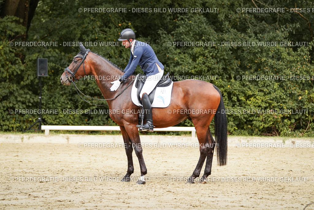 DSC09156 | Pferdegrafie