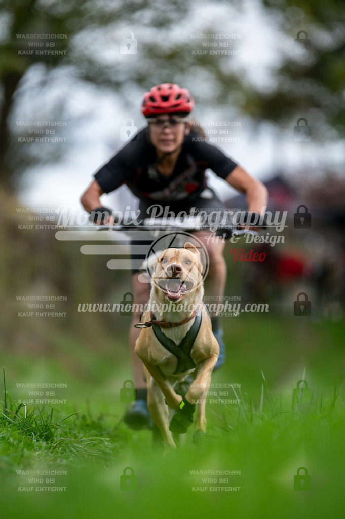 TSB_2023_E8_Bike-26 | PayLife