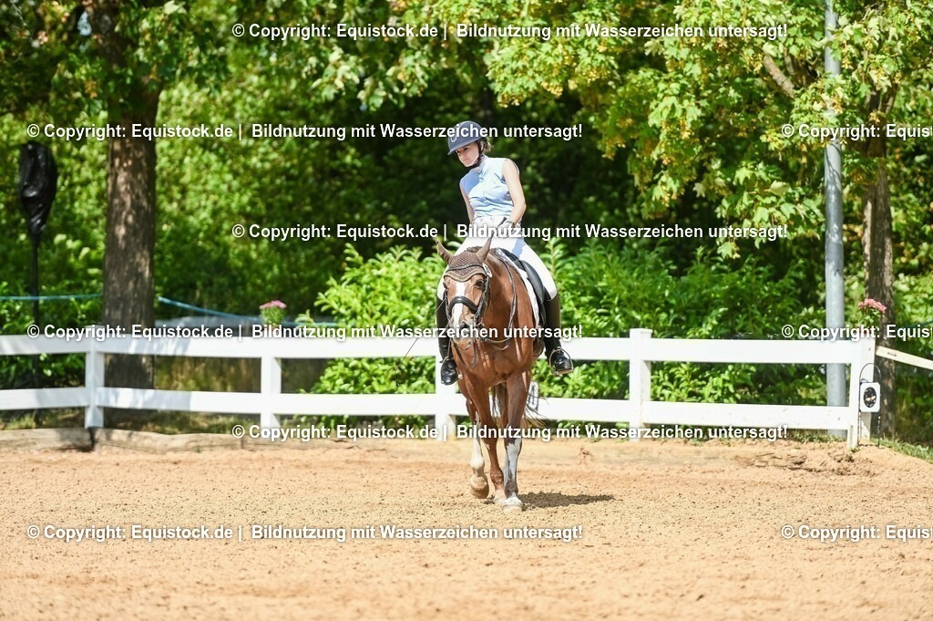 20230716_01_Dressurprüfung Kl.M_0273 | equistock