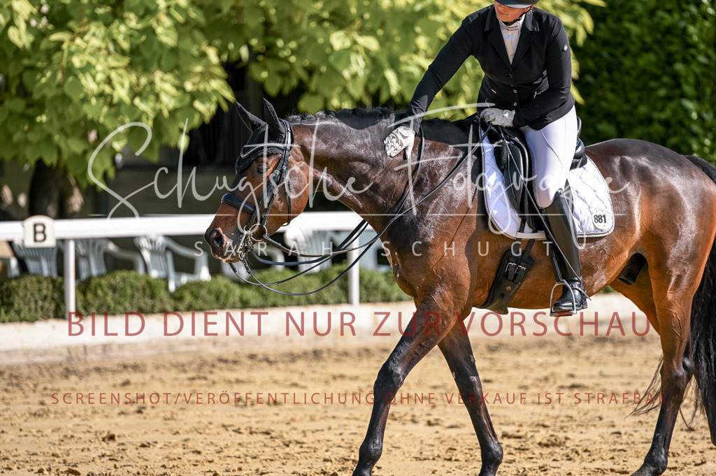 Schugtsche-Aluta25-52.Dressurprf.M2Kand-274 | Schugtsche Fotografie - Realisiert mit Pictrs.com