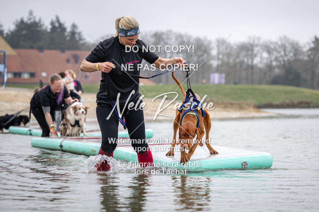 nelerasche_Hulsbeek_Sa1130-1230_188 | nelerasche