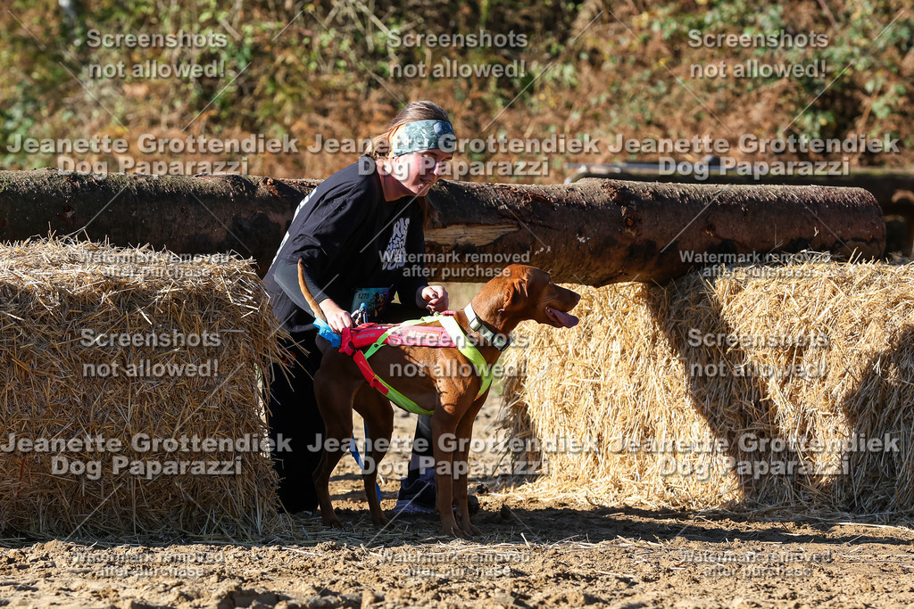 Dog Paparazzi - Strongdog 10-25-2144 | Dog Paparazzi Jeanette Grottendiek Fotografie & Videografie - Realisiert mit Pictrs.com