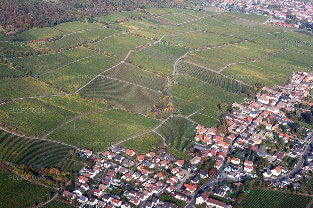 Luftbild: Weinlage Jesuitenmandel in Forst an der Weinstraße im Bundesland Rheinland-Pfalz in Deutschland. Foto: IMG_21993.jpg vom 15.10.2009 durch Werner Riehm/FLY-FOTO.de