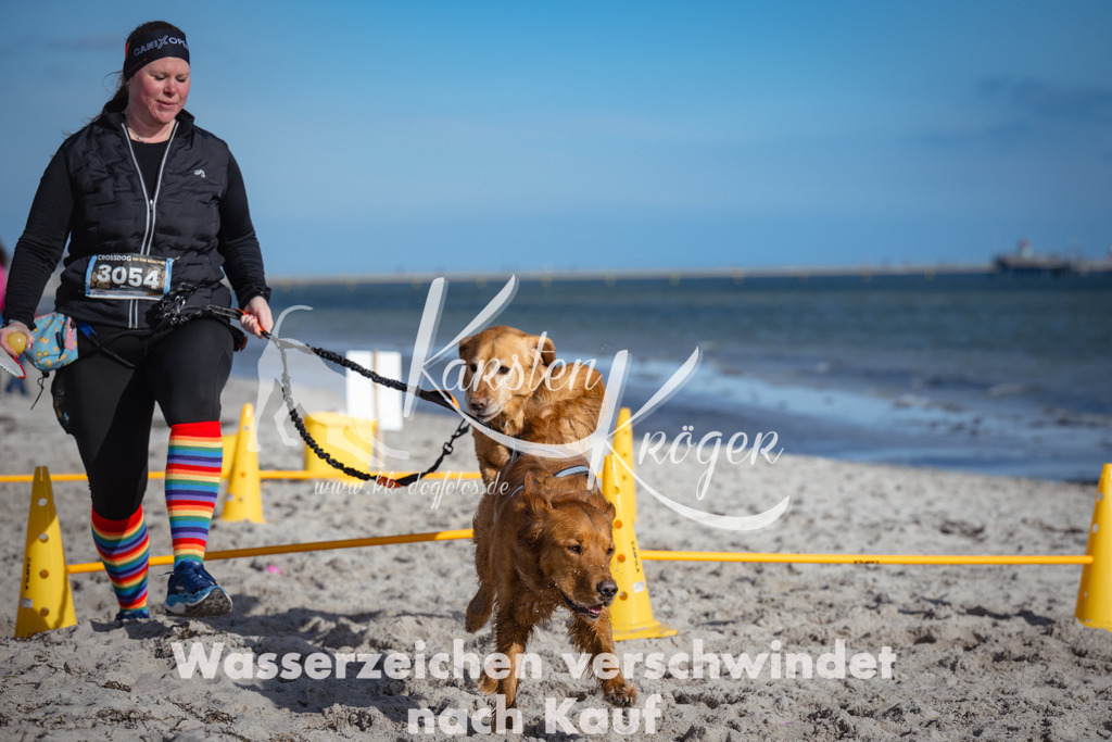 1342_ZZ92901 | kk-dogfotos