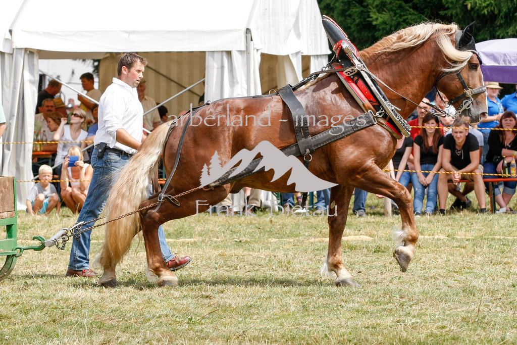 15082015-fb-6291 | Leistungsziehen in Poschetsried 2015