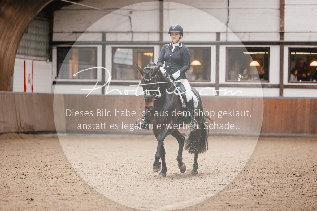 3I6A6620 | Stimmungsvolle Portraits und Reitsportfotografie im Ruhrgebiet und im Münsterland.

Pferdefotografie, Hundefotografie, Tierfotografie, Reportagen, Portraits von Tier und Mensch, Turnierfotografie in Bochum, Recklinghausen, Marl, Haltern am See, Dülmen.. - Realisiert mit Pictrs.com
