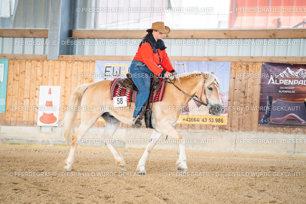 DSC02795 | Pferdegrafie