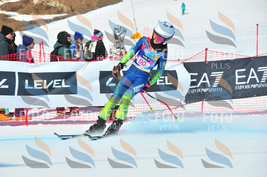 DSC_4490 | holidayphoto