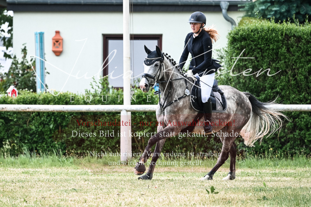 DSC_8921 | Pferde- und Turnierfotografie in Westsachsen. Pferdeportraits, Auftragszeichnungen und intuitive Kunst.