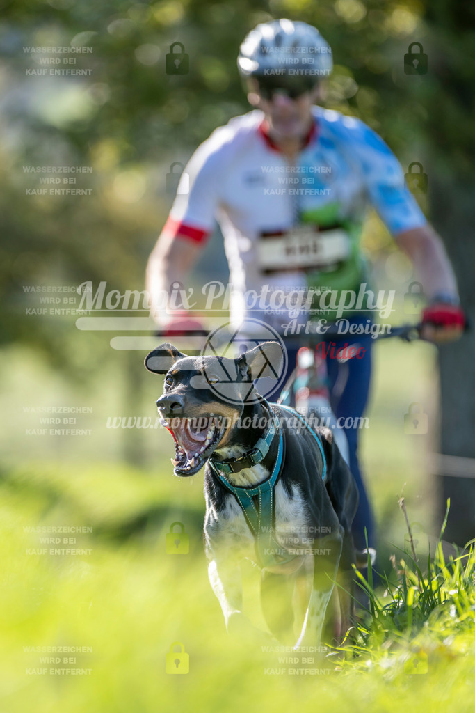 MompixPhotography_20TSB_E3_DS1-50 | PayLife