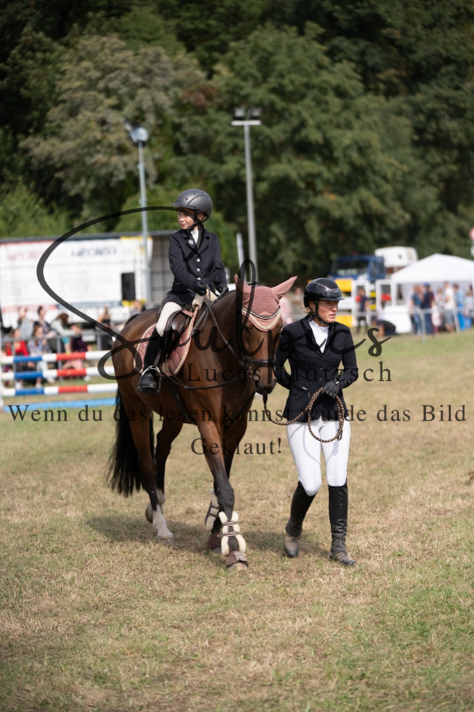 A7V08878 | Turnier/Reitfotograf