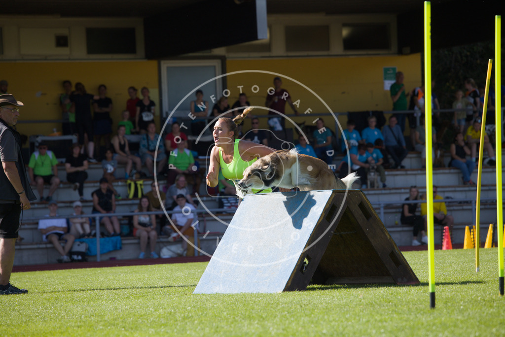 0L8A8050 | Hundefotografie, Tierfotograf, Pfotenfotografie, Fotoshooting Hund, Hunde Portrait, Hundesport, Hundeportraits, Heideshooting, Hunde, Sportfotograf, Hundefotograf, Turnierhundsport, THS,  - Realisiert mit Pictrs.com