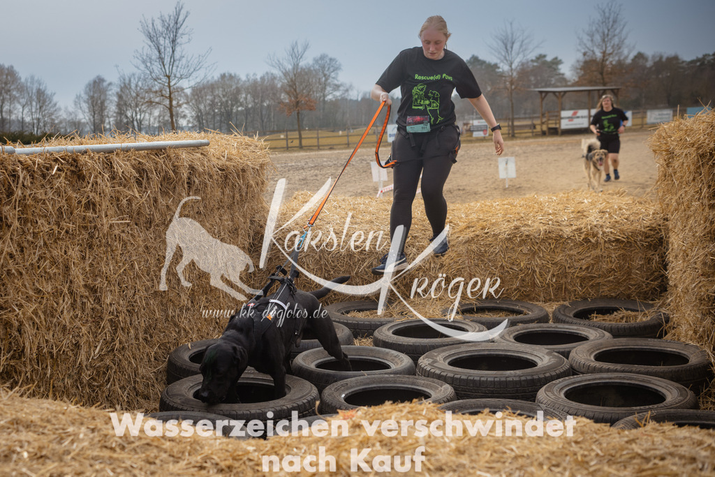 1225_ZZ95705 | kk-dogfotos