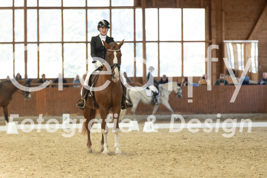 IMG_4812 | Creatify Fotografie