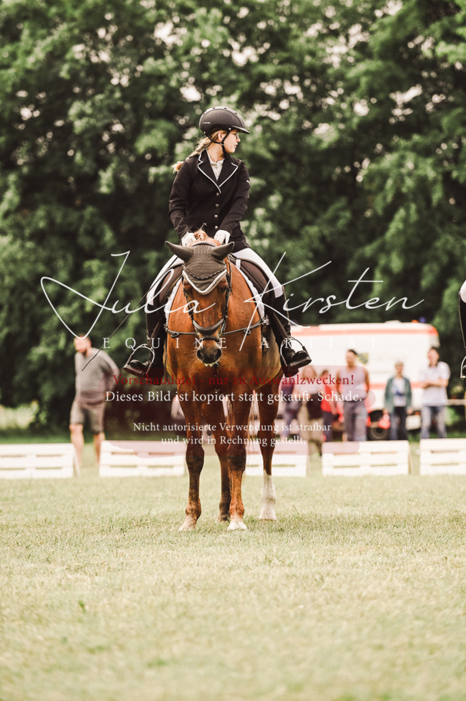 DSC_5149 | Pferde- und Turnierfotografie in Westsachsen. Pferdeportraits, Auftragszeichnungen und intuitive Kunst.
