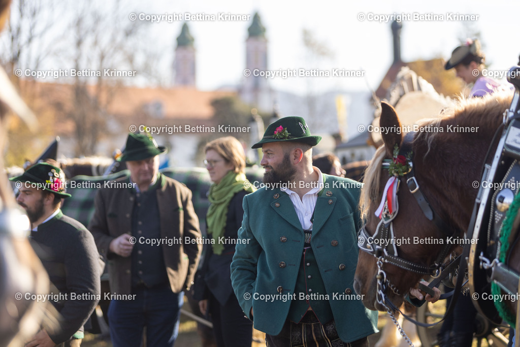 LBT24-1130 | foto-bettina-krinner - Realisiert mit Pictrs.com