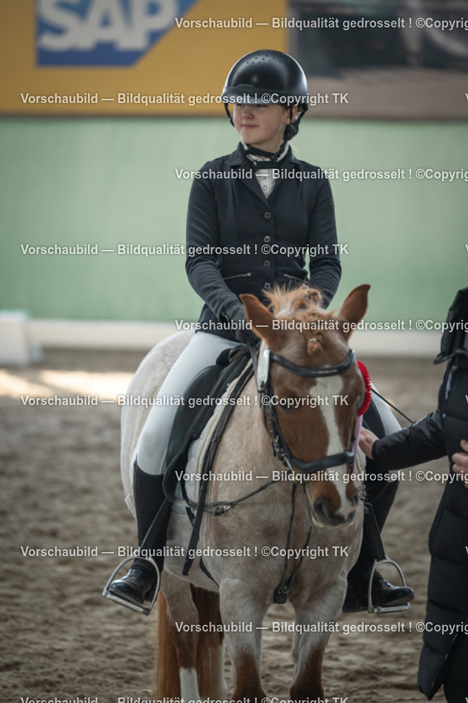 _D5A8790 | Emotionale Pferde- & People-Fotografie rund um Heidelberg, Leimen & Umgebung. Natürliche Fotos von Pferd, Mensch & Familie. Jetzt Termin sichern!