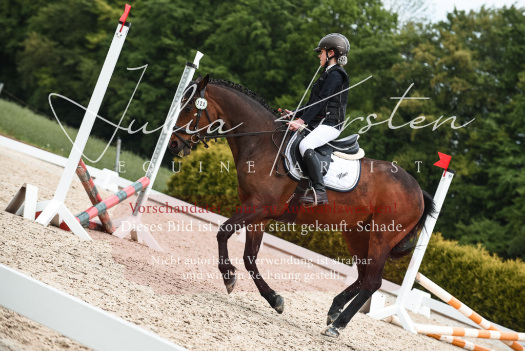 20230518_JK-Röhrsdorf-10-719 | Pferde- und Turnierfotografie in Westsachsen. Pferdeportraits, Auftragszeichnungen und intuitive Kunst.