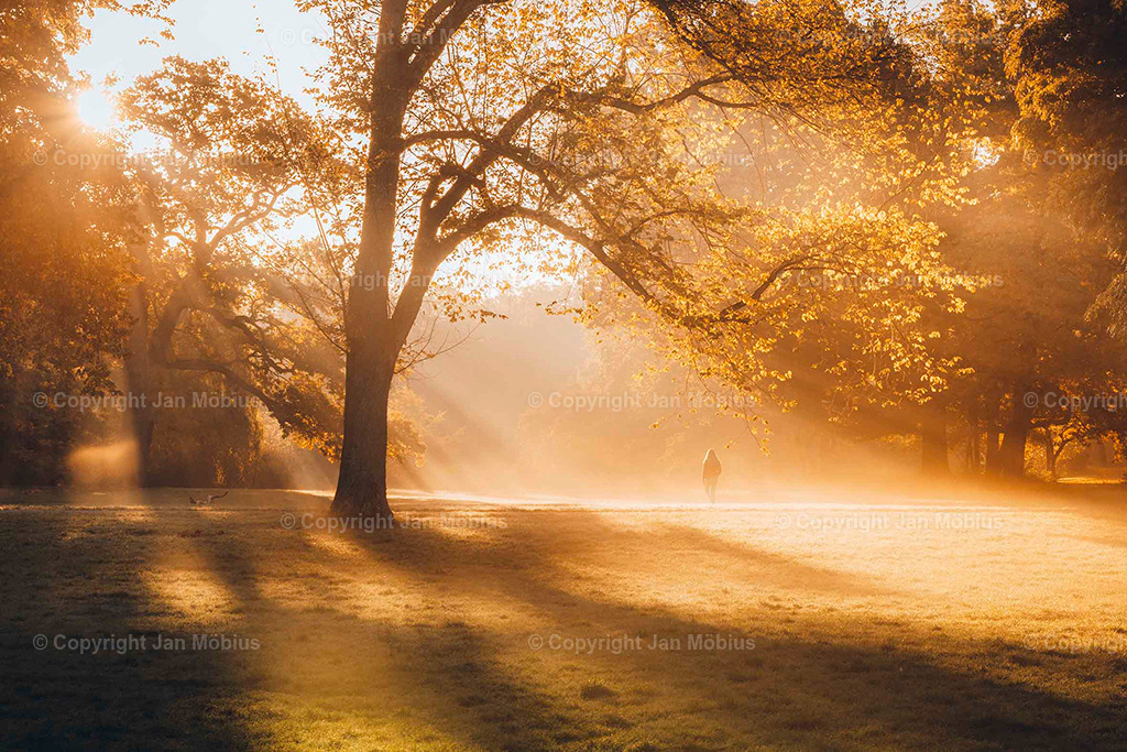 Clara Park | Der Clara-Zetkin-Park in Leipzig ist ein beliebter Ort für Natur, Sport und Erholung – perfekt für Spaziergänge, Jogging und entspannte Stunden im Grünen. - Realisiert mit Pictrs.com