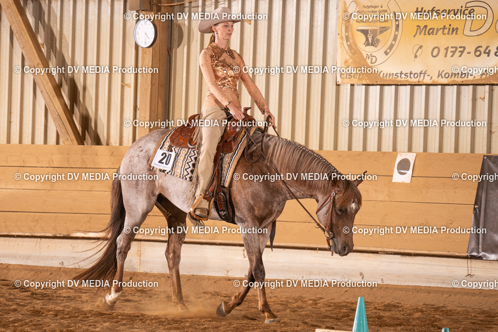 NID00834 | dv-media-shop - Realisiert mit Pictrs.com