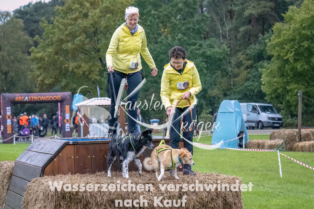 1208--2 | kk-dogfotos