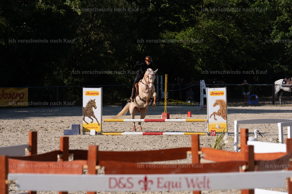WS_SP_65_SinaFilmArt_IN09357 | working equitationturnier fotograf videograf stoibphotography marixx film working equitation deutschland reitsport turnierfotografie eventfotografie equestrian events
