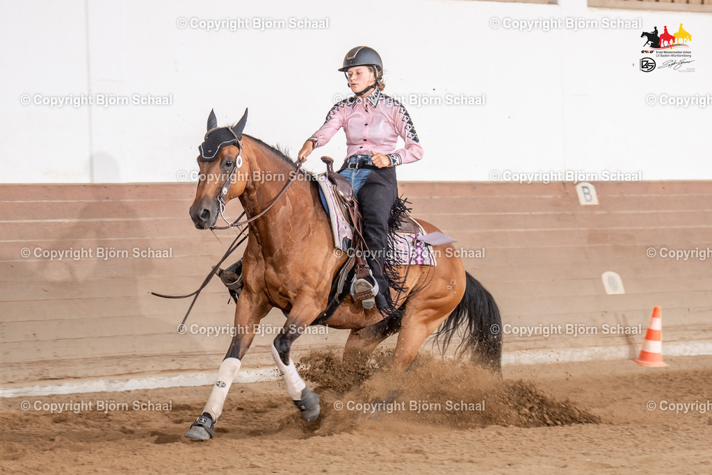 LMS06220 | BS-foto