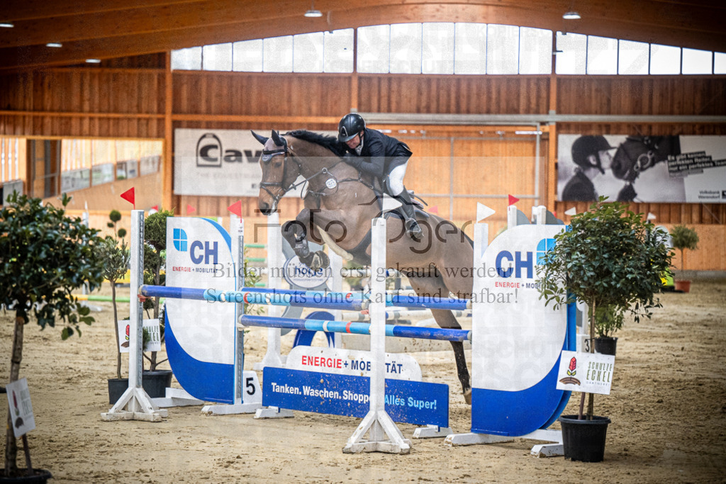 DOS_1191 | Entdecke hochwertige Reitturnierfotos von Foto Oger. Professionell, emotional und authentisch – jetzt Lieblingsmomente im Shop bestellen.Deutschlandweite Turnierfotografie. - Realisiert mit Pictrs.com