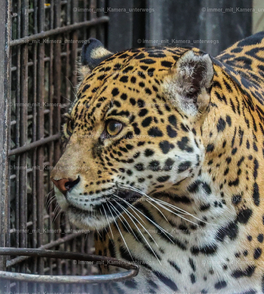 PSX_4445 | immer_mit_kamera_unterwegs