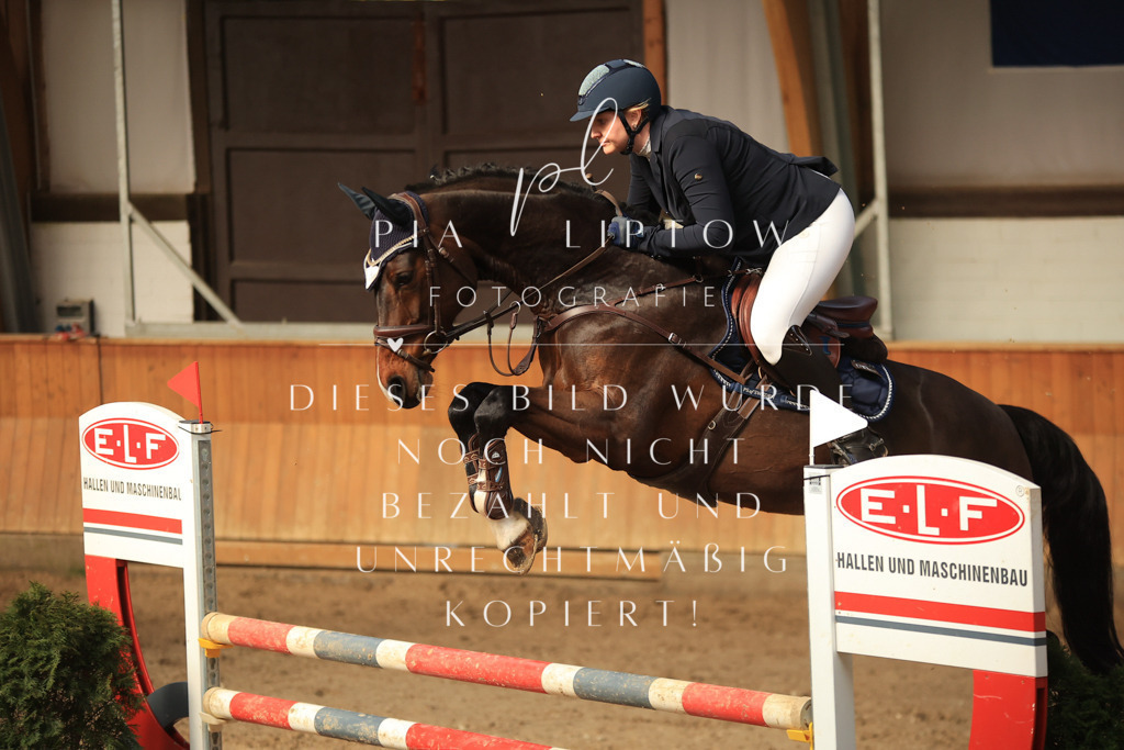 IMGT0165 | pl-fotografie