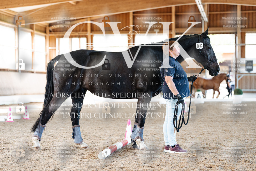 CK906267 | Turnierfotografie Pferdefotografie Trier Rheinland-Pfalz Pferdesport Reitsport Tierfotografie Sportfotografie Pferdevideo Pferdevideografie Equestrianvideography equestrianphotography  - Realisiert mit Pictrs.com