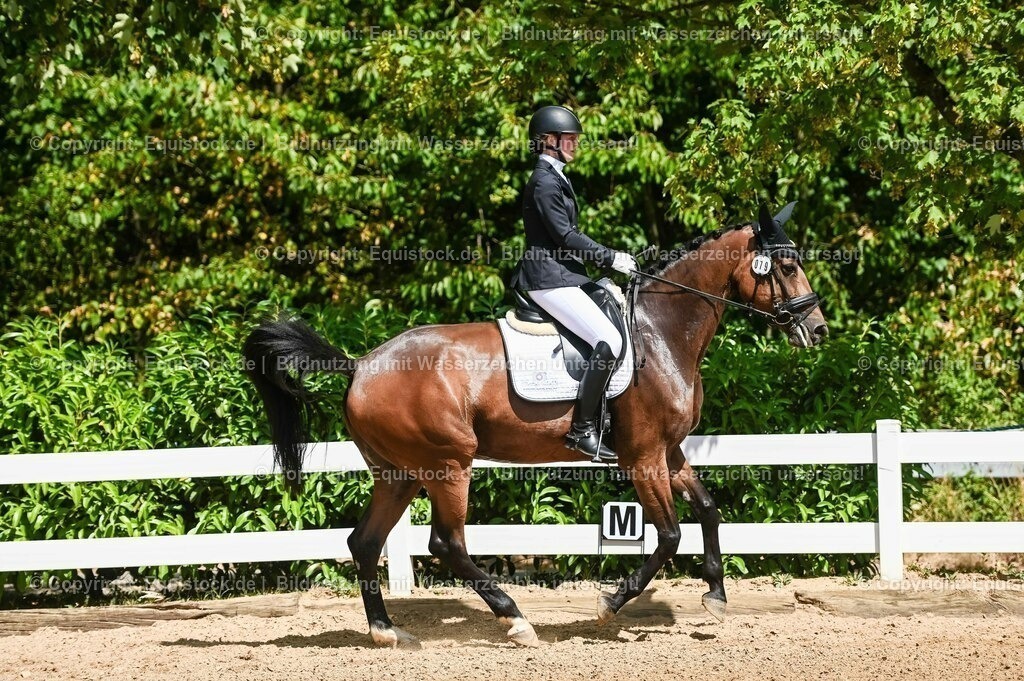 20230715_02_Dressurreiterprüfung Kl.L_0093 | equistock