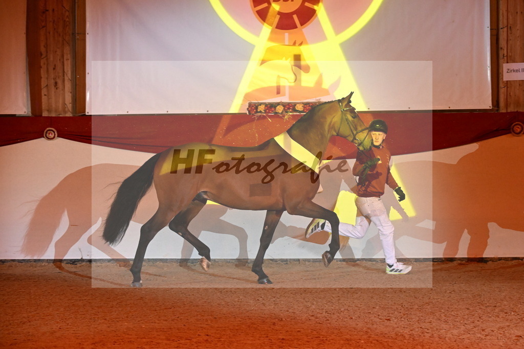 Chaplin_s Touch_Bachl_3261914 | hf-fotografie - Realisiert mit Pictrs.com