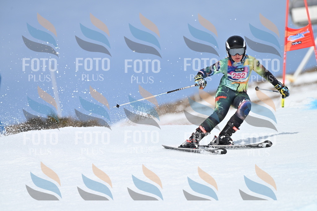 BGV_1917 | holidayphoto