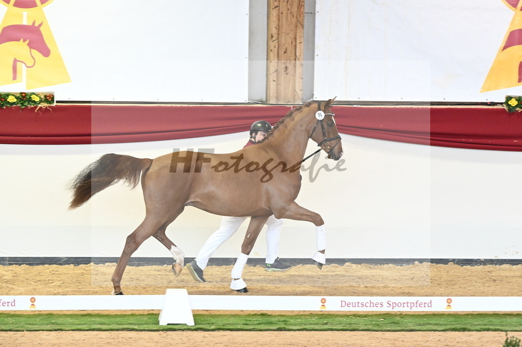 Kat.-Nr. 74 v. Va Bene_Schumacher_2240640 | hf-fotografie - Realizzato con Pictrs.com