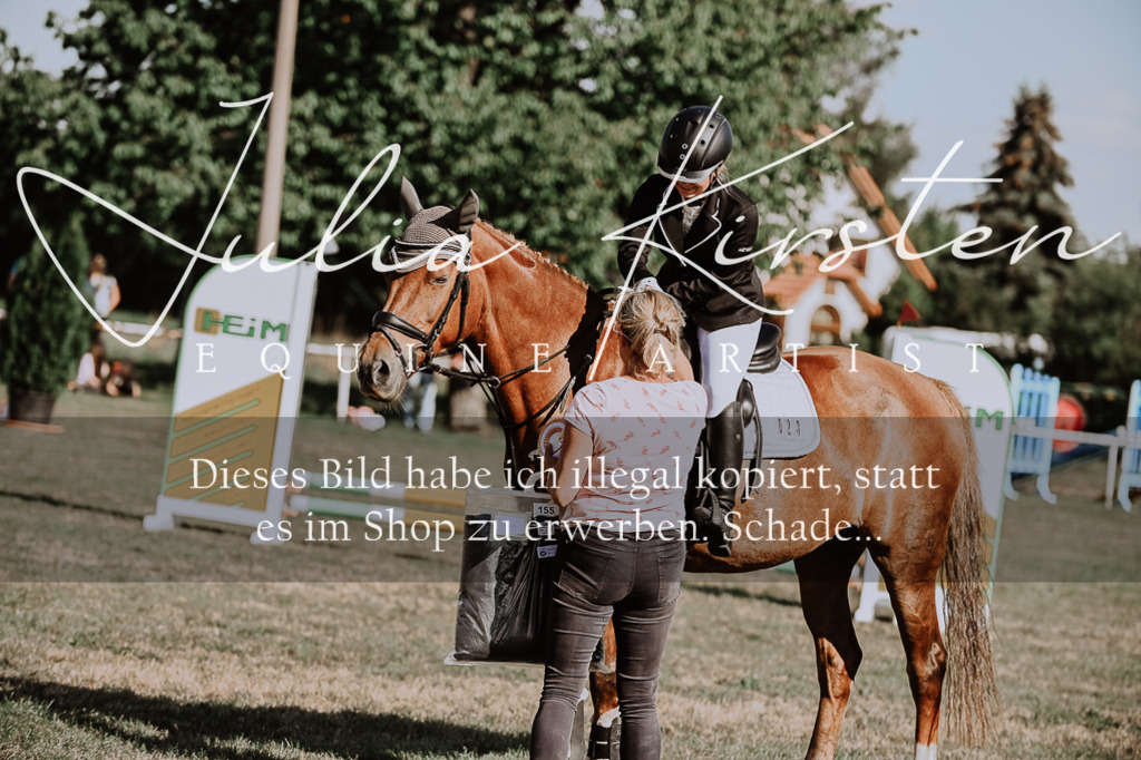 DSC_9517 | Pferde- und Turnierfotografie in Westsachsen. Pferdeportraits, Auftragszeichnungen und intuitive Kunst.